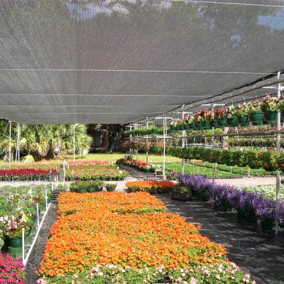 China Durable High Quality Long Using Life Shading Net Garden Agriculture Greenhouse HDPE Sun Shade Net for sale