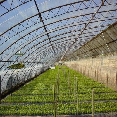 China Durable Greenhouse Plastic Sheet Anti UV Plastic Film For Greenhouse for sale