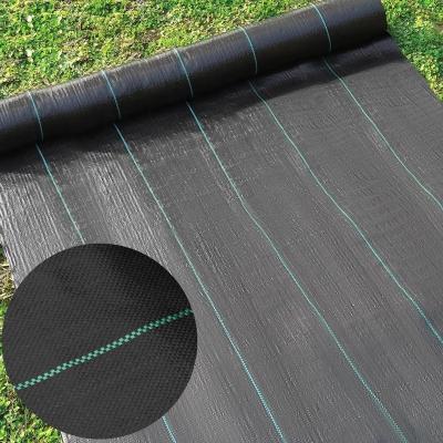 China Durable PP Fabric Agricultural Weed Control Plant Cover Black Plastic Mat for sale