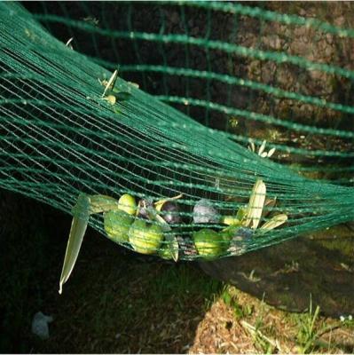 China HDPE High Strength Virgin Materials Plastic Tie Net Olive Harvesting Net for sale