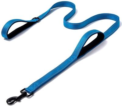 China Stocked Large Dogs, Medium Dogs, 2 Handle, Adjustable Hardware, Long, Thoughtful, Nylon, Training Walking Leash for sale