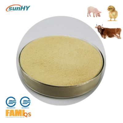 China SunAmy Plus Ultrafine 10000u/g Powdered Amylase Enzyme Compound Amylase Enzyme for sale