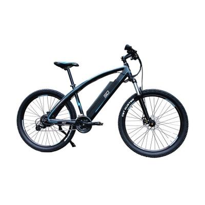 China Cheapest Aluminum Alloy 7 Speed ​​Aluminum Frame 1000 Watt 48V 20Ah Mountain Bike Electric Bicycle For EU for sale