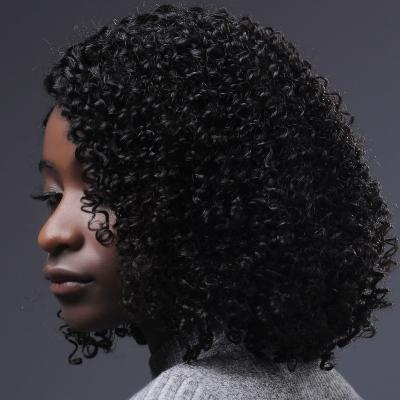 China Most popular Indian curly full lace professional lead full lead human virgin human hair wigs for sale