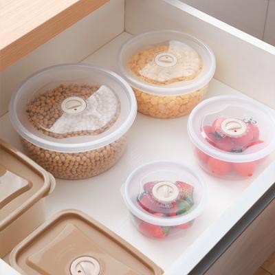 China Cheap Clear Plastic Bento Boxes Food Freshness Storage Round and Square Freezer Camping Food Storage Box for sale