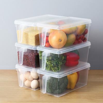 China Freshness Preservation Fruit Storage Box Sealed Transparent Cover Fridge Sustainable Food Containers For Kitchen for sale