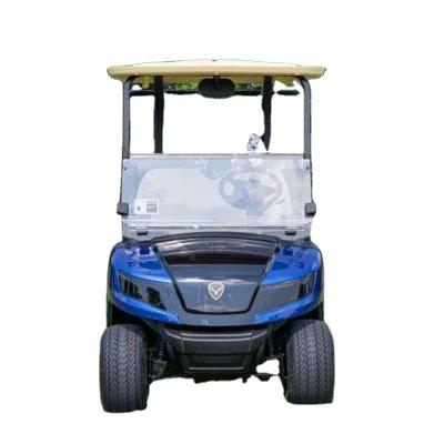 China 2021 golf cart with customized color and high quality brand new for wholesale from china supplier with best price 370 kg for sale