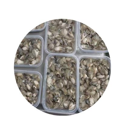 China Raw Shellfish 5-7g XS BQF Oyster Seafood Wholesale Frozen FROZEN Meat for sale