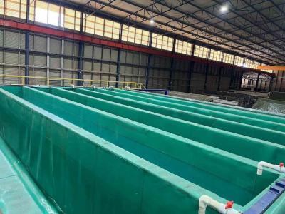 China Acid Etching Tank Alkaline Etching Tank Aluminium Profiles Anodic Anodizing Production Line for sale