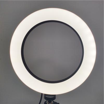 China 2020 New Arrivals Shine 8 Inch LED Ring Light 2M Adjustable Tipod Stand For Makeup Photography Video for sale