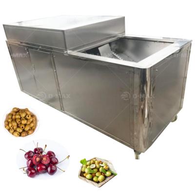 China 520 KG Economic Cherry Stoner Peach Pitting Machine Olive Core Removing Machine for sale