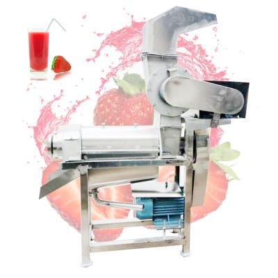 China Industrial Cold Press Juicer Extractor Machine for 304 Stainless Steel Fruit Juice for sale