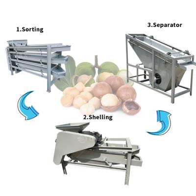 China Food Beverage Walnut Hazelnut Almond Shelling Machine Cashew Nut Processing Machine for sale