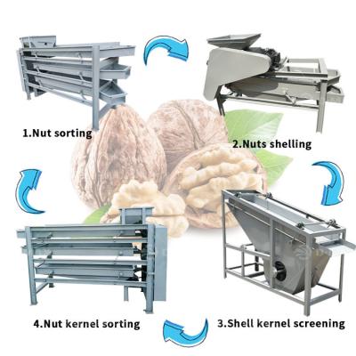 China Amêndoas de pinheiro Sementes de separação de amêndoas Sheller Shell Removendo amêndoas Huller Máquina Máquina de classificação à venda