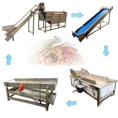 China Water Bubble Washing Vegetable Cabbage Mushroom/Radish/Fruit Processing Machinery for Food Beverage for sale