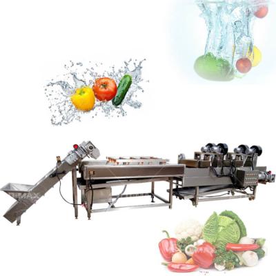 China Vegetable Fruits Cleaning Washing Line Machine for Commercial Frozen Food Processing for sale