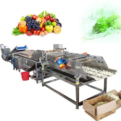 China Clean Vegetable Processing Production Line Farms Vegetable Bubble Washer 304 Stainless Steel for sale