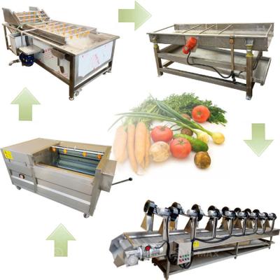 China Vegetable Fruits Cleaning Washing Line Industrial Air Drying Machine 220V/380V Supply for sale