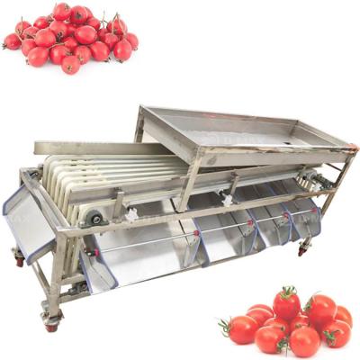 China Red Dates Size Sorting Machine for Customized 4-7 Grades Palm Dates Classification for sale