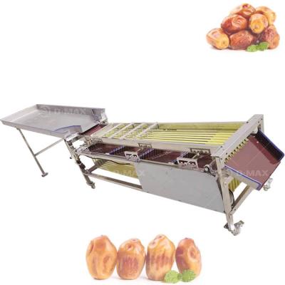 China Multifunctional Diameter Sorting Machine for Sorting Fruits and Vegetables Efficiently for sale