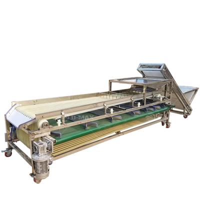 China Good Performance Passion Fruit Grading Machine for Fruit Processing Requirements for sale