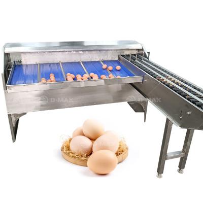 China Egg Industry Equipment Grade An Egg Machine for Professional Weight Grading Machine for sale