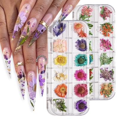 China Real Dried Flowers / Leaves Nail Art Dried Flower Decoration Accessories 3D Sunflower Natural Flower Dried Flower DIY Makeup for sale