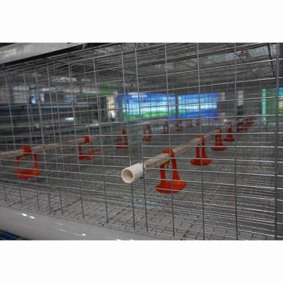 China Poultry Raising Equipment Battery Layer Chicken Cages Automatic Poultry Cages For Automatic Chicken Farm Equipment System Broiler Cage for sale