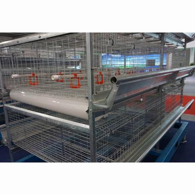 China Poultry Raising Equipment Factory Supply Poultry Farm Products Automatic Broiler Cage System for sale