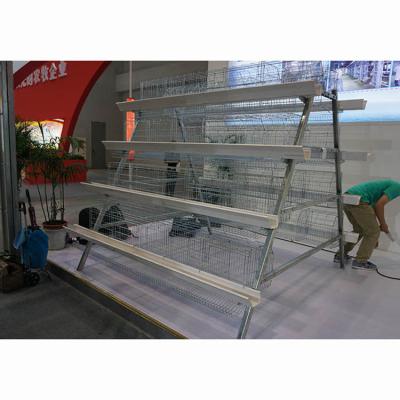 China Farms Factory Supply Products Best Selling Pigeon Breeding Cage Chicken Poultry Cage for sale