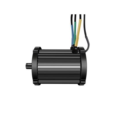 China Single Wheel 48v 60v 72v 2500w Big Torque Electric Tricycle DC Brushless Battery Mid-Mounted Motor for sale