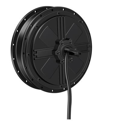 China Hot Selling High Efficiency Brushless Single Wheel Hub Motor Non-speed Single Wheel Low Cost 16-28 Inch Wheel Bycyle Motor Kit for sale