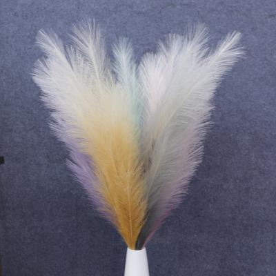 China Amazon Direct Selling 18 Forks Warm Gradient Reed Artificial Satin Faux Pampas Grass For Home Decoration Artificial Pampas Grass for sale