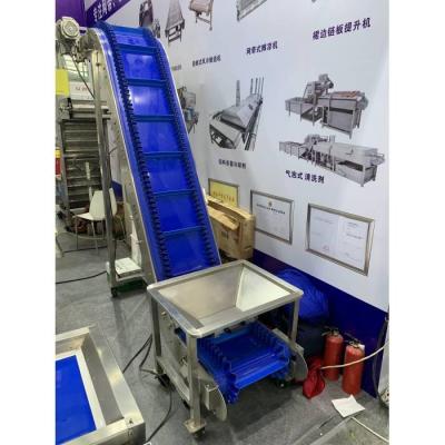 China Lateral Stability Customized Cat Litter Feeder Belt Elevator Grain Conveyor Hopper Elevator for sale