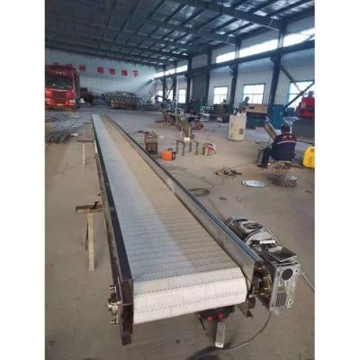 China Side Stability Meat Product Module Conveyor Belt Factory Customized Plastic Plastic Conveyor Chain for sale