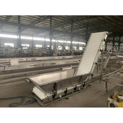 China New Design Side Stability Plastic High Temperature Resistant Chain Plate Lift Scraper Chain Conveyor For Fruit for sale