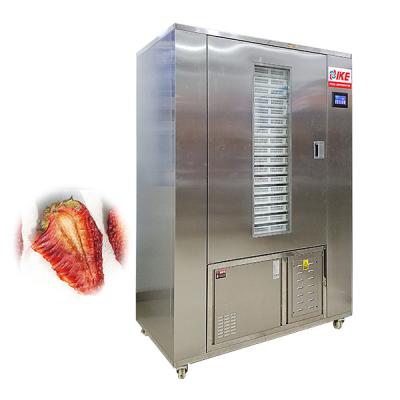 China Easy Operation Electric Automatic Air Power Drying Equipment For Fruits And Vegetables Made In China for sale