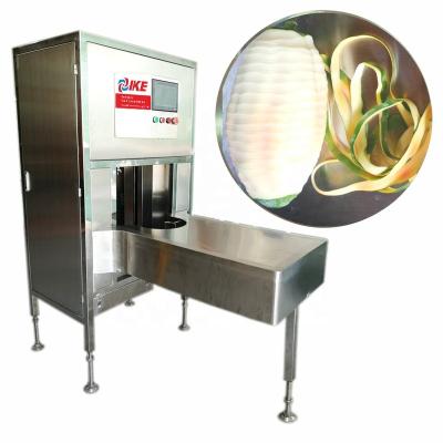 China High Efficiency Easy Operate Efficient Vegetable Melon Peeler Guangdong Equipment Fruit Skin Cabinet Electric Peeling Steel Machine Tool for sale