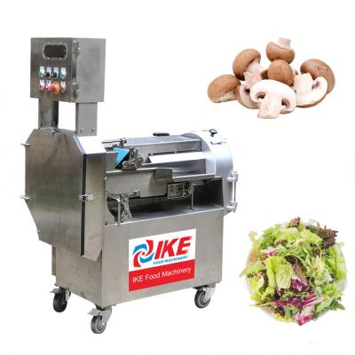 China High efficiency easy operate adjustable mushroom slicing machine vegetable and fruit slicing and shredding and dicing multifunctional cutting machine for sale