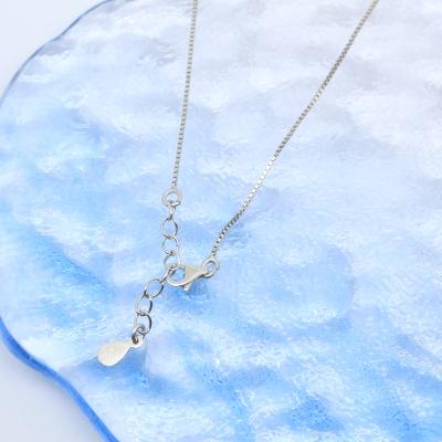 China 2022 Hot Silver Silver 925 Stainless Steel NS Accessories Jewelry Necklace for sale