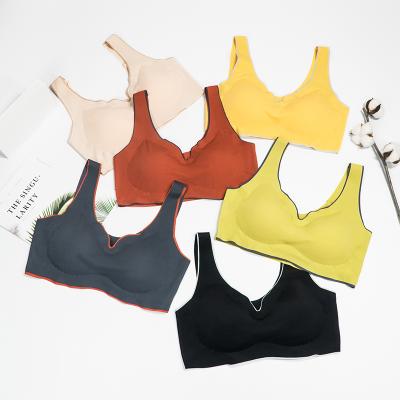 China Fashion Seamless Bra Womens Sujetador Deportivo Gather No Ring Sleep Steel Bra Seamless Underwear Latex Sports for sale