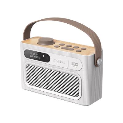 China DAB DELUXE Portable Stereo Radio with FM/BT/USB Radio and Micro SD Playback for sale