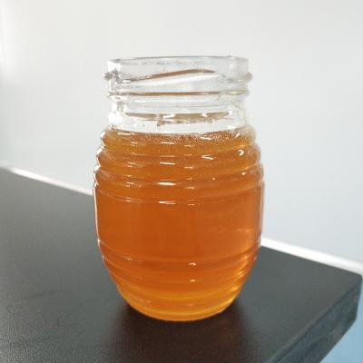 China 100% Sidr Pure Jujube Honey Honey 28kg for sale