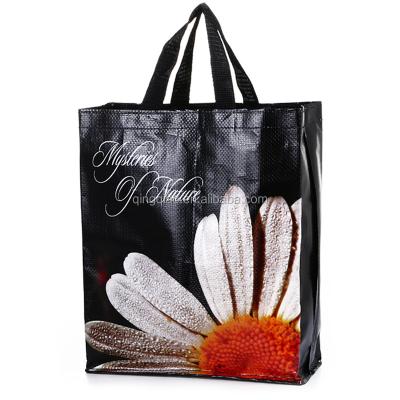 China Gift Bag Foldable Shopping Bag Sell Reusable Non Woven PP Lamination Bag for sale