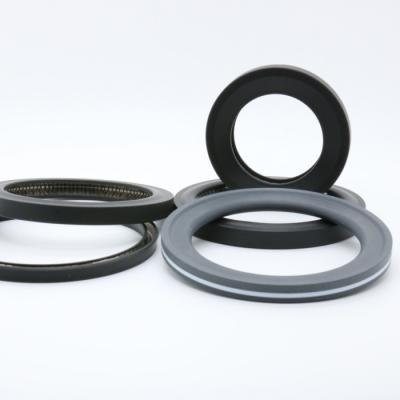 China PTFE PEEK Material Spring Energized Seals For Food Machinery Anti Corrosion for sale