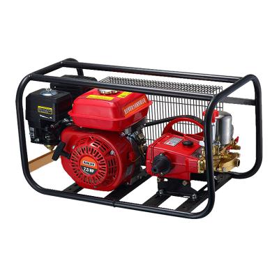 China High Pressure Agriculture 4 Stroke Gasoline Engine High Power Portable Sprayer for sale