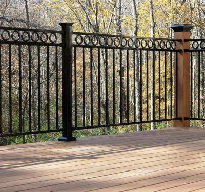 China Easily Assembled Newer Galvanize Steel Gates And Fence Design for sale