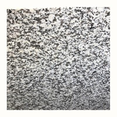 China Traditional Hot Sales Jilin Granite Countertops Kitchen Countertops White Vanity Top For Project for sale