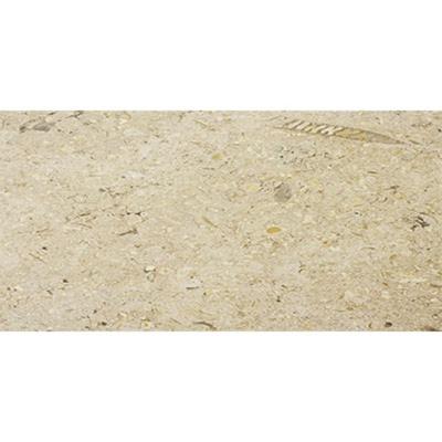 China Modern Sinai Pearl 12x24 Brushed Marble Tile for sale