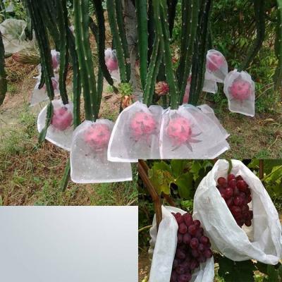 China Waterproof Nonwoven Fabric PP Spunbond Nonwoven Fabric Agriculture Blanket for sale